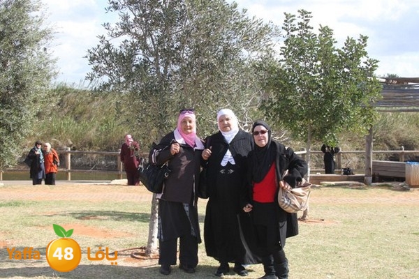 byareg 0226 (140).JPG